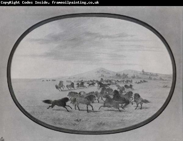 George Catlin Wild Horses at Play